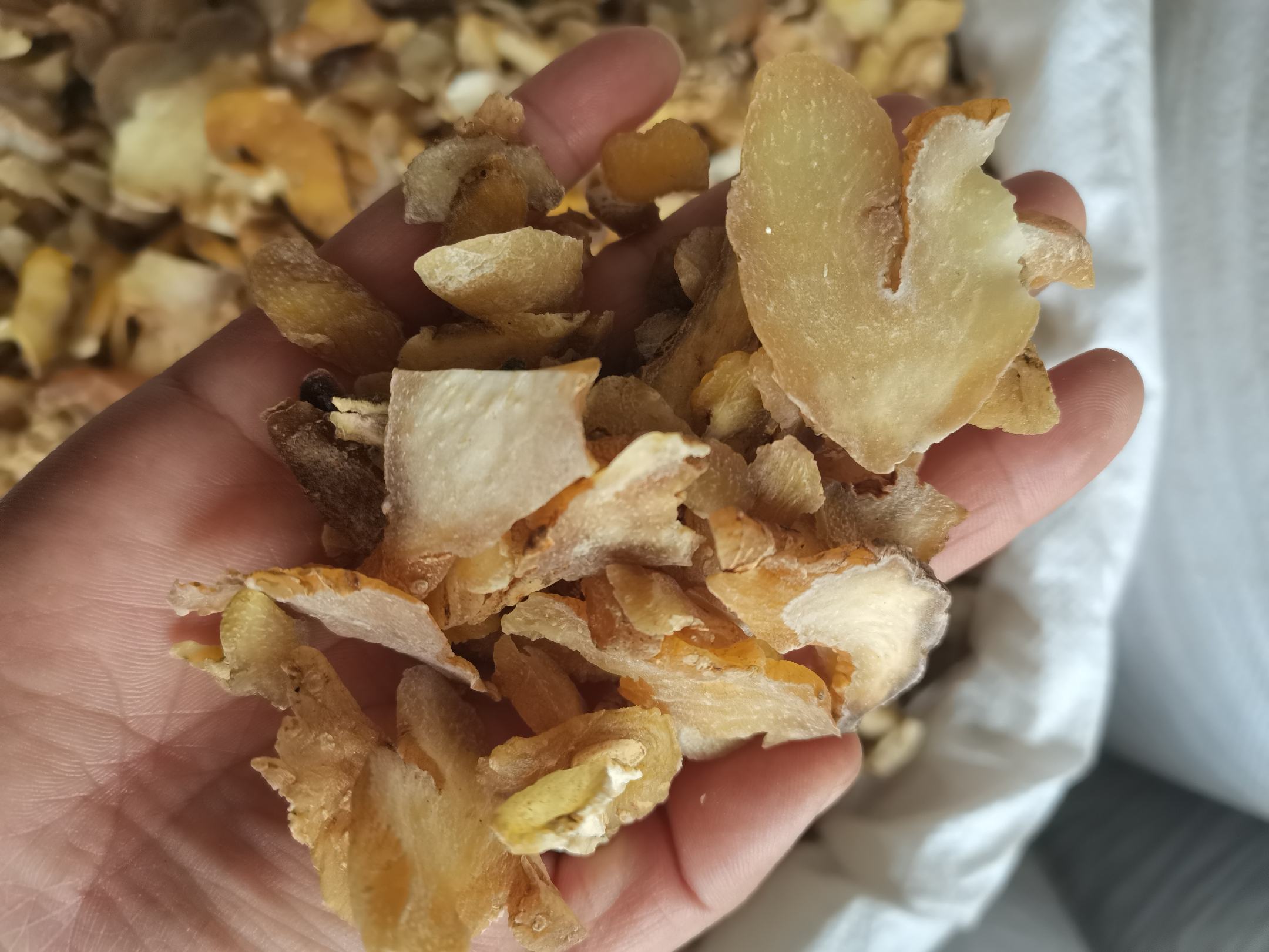 熟地黄与多种中药材搭配图