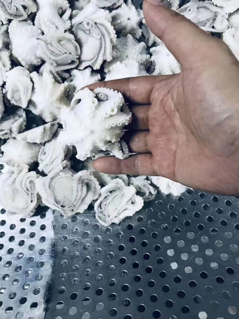 三去盐柔八爪鱼盐磨八爪鱼捞汁火锅大小规格都有