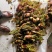 贵州野生刺老芽