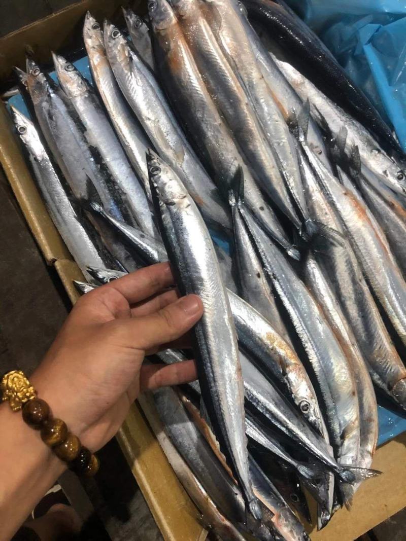 秋刀鱼深海秋刀鱼新鲜冷冻秋刀鱼海鲜水产烧烤