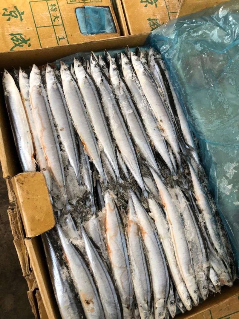 秋刀鱼深海秋刀鱼新鲜冷冻秋刀鱼海鲜水产烧烤