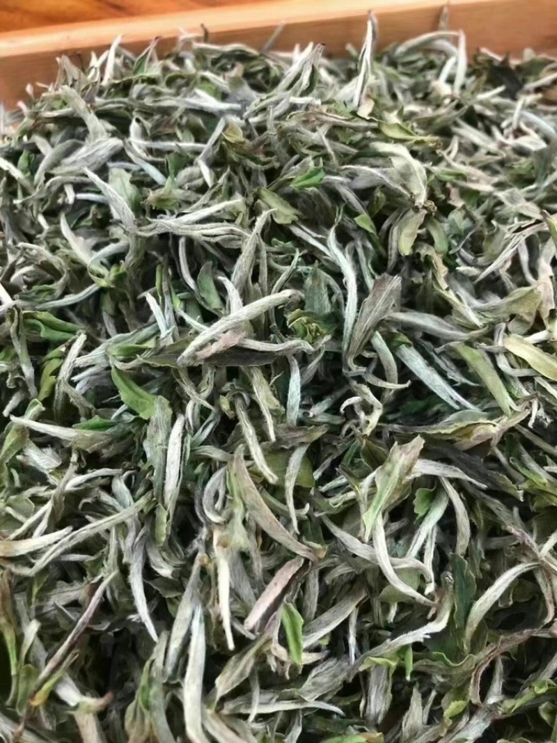 2021头采牡丹王泡茶新茶批发明前福鼎花香牡丹王