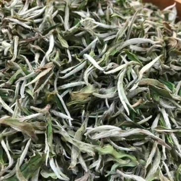 2021头采牡丹王泡茶新茶批发明前福鼎花香牡丹王