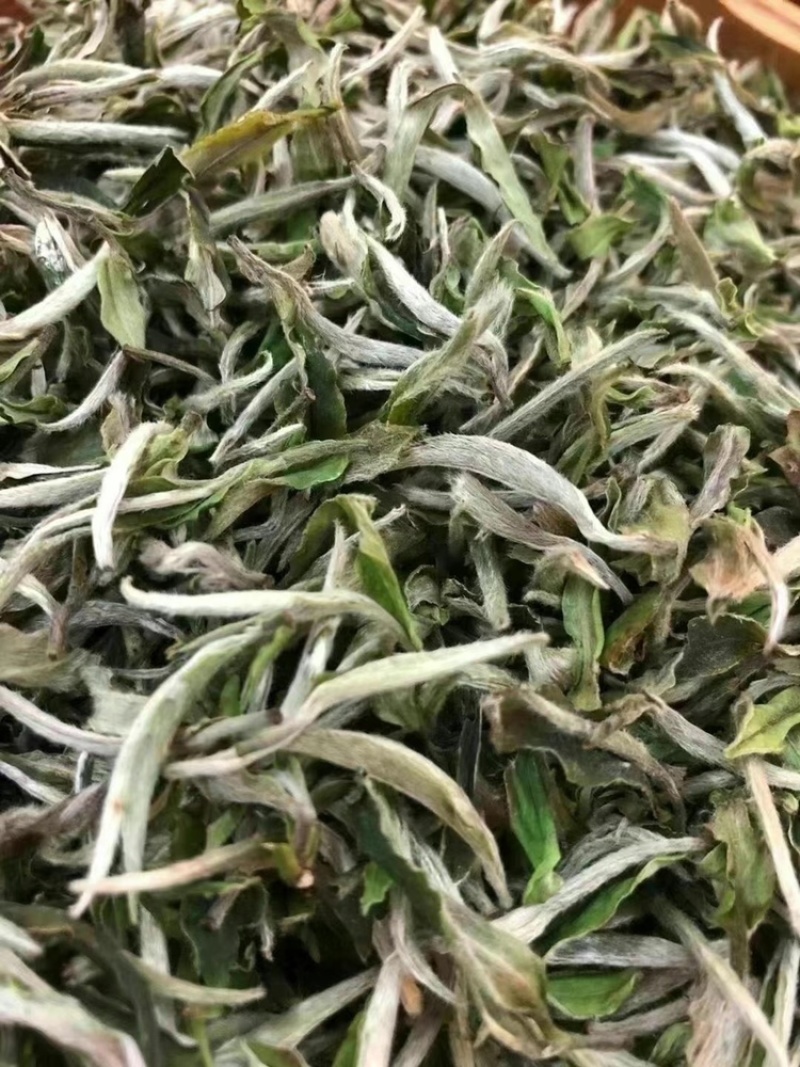 2021头采牡丹王泡茶新茶批发明前福鼎花香牡丹王