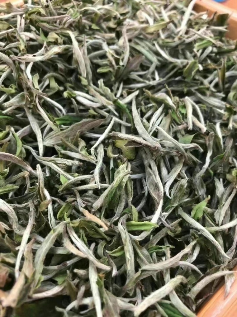 2021头采牡丹王泡茶新茶批发明前福鼎花香牡丹王