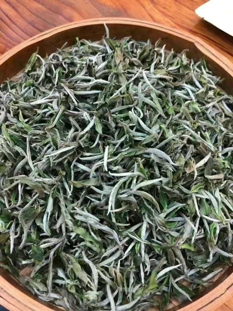 2021头采牡丹王泡茶新茶批发明前福鼎花香牡丹王