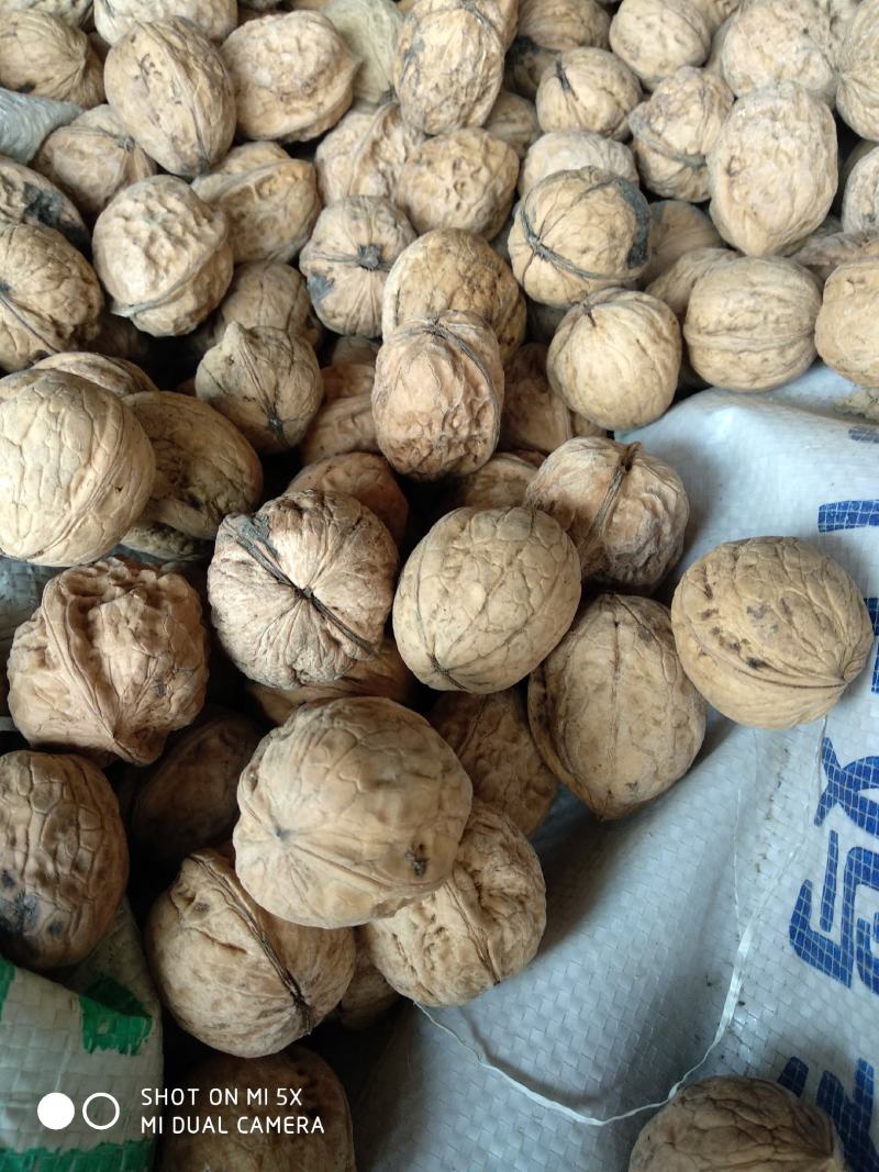 核桃，食品坚果核桃，补充营养，补充记忆力，老品种核桃批发