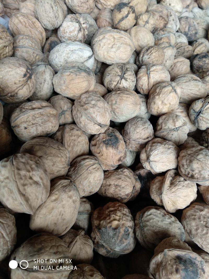 核桃，食品坚果核桃，补充营养，补充记忆力，老品种核桃批发