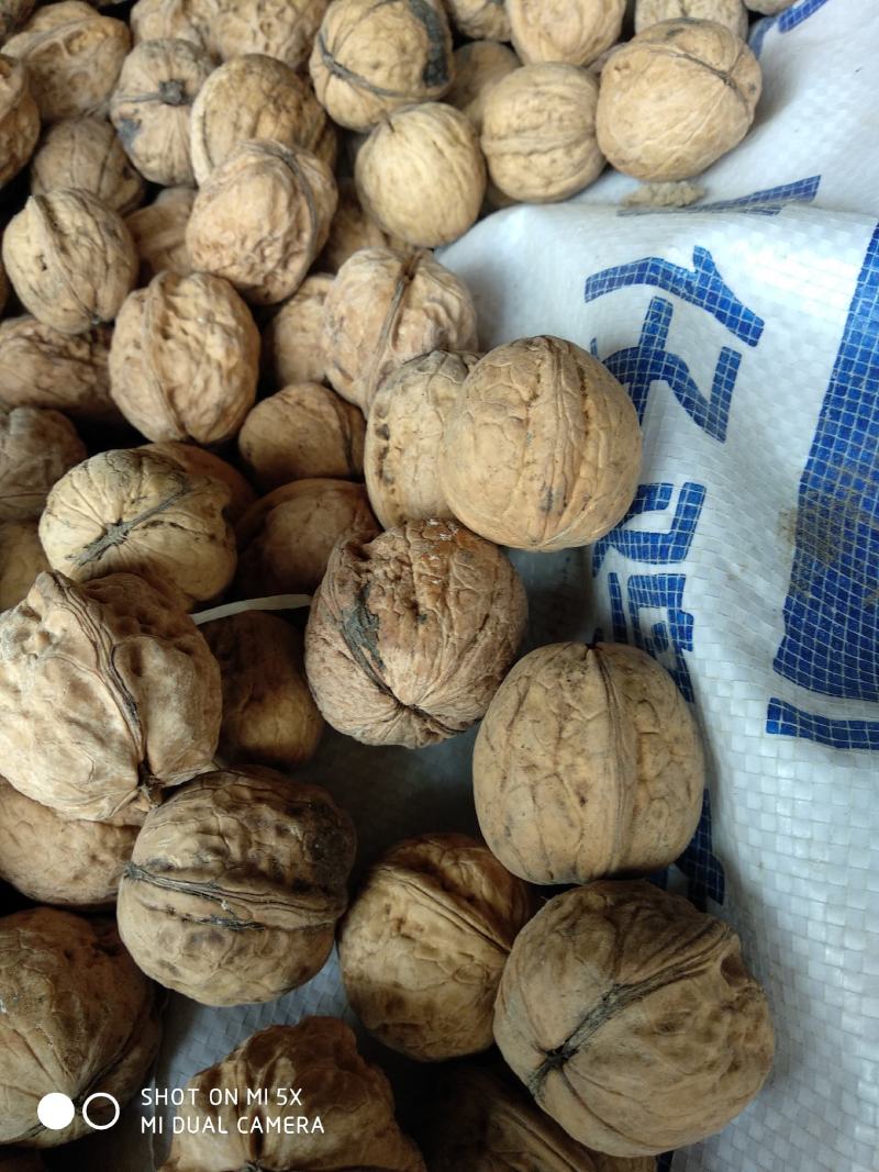 核桃，食品坚果核桃，补充营养，补充记忆力，老品种核桃批发