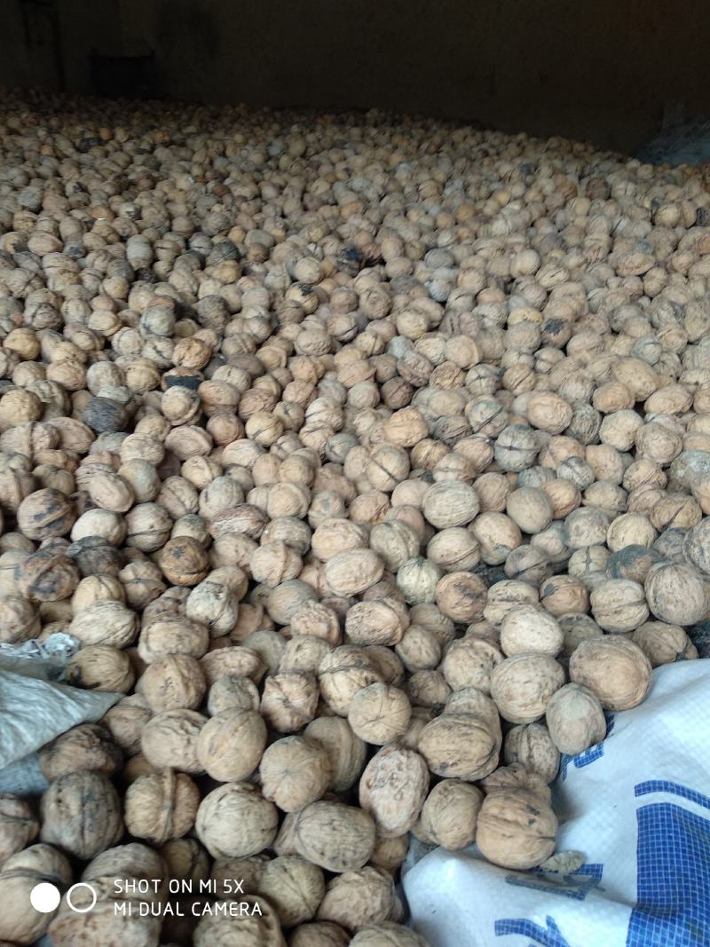 核桃，食品坚果核桃，补充营养，补充记忆力，老品种核桃批发