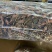 【100克起拍】1.5一克福建金线莲红霞干品包邮