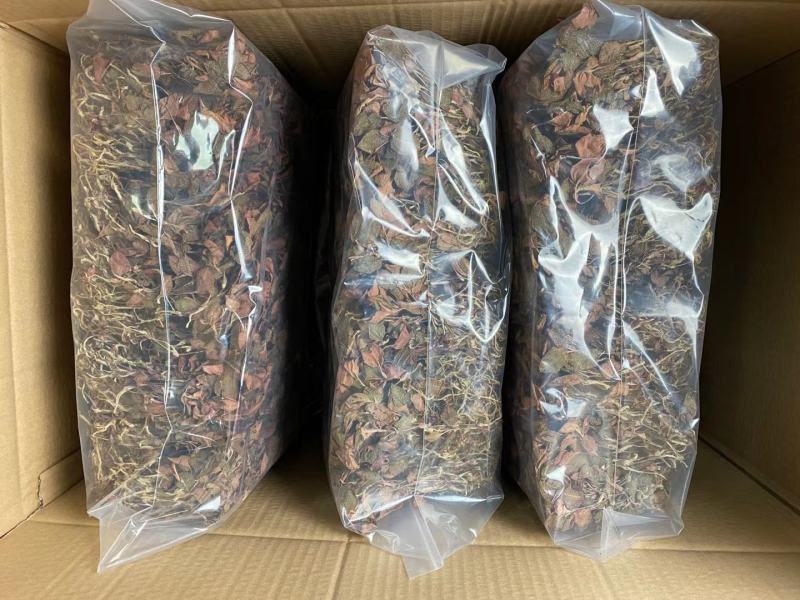 【100克起拍】1.5一克福建金线莲红霞干品包邮