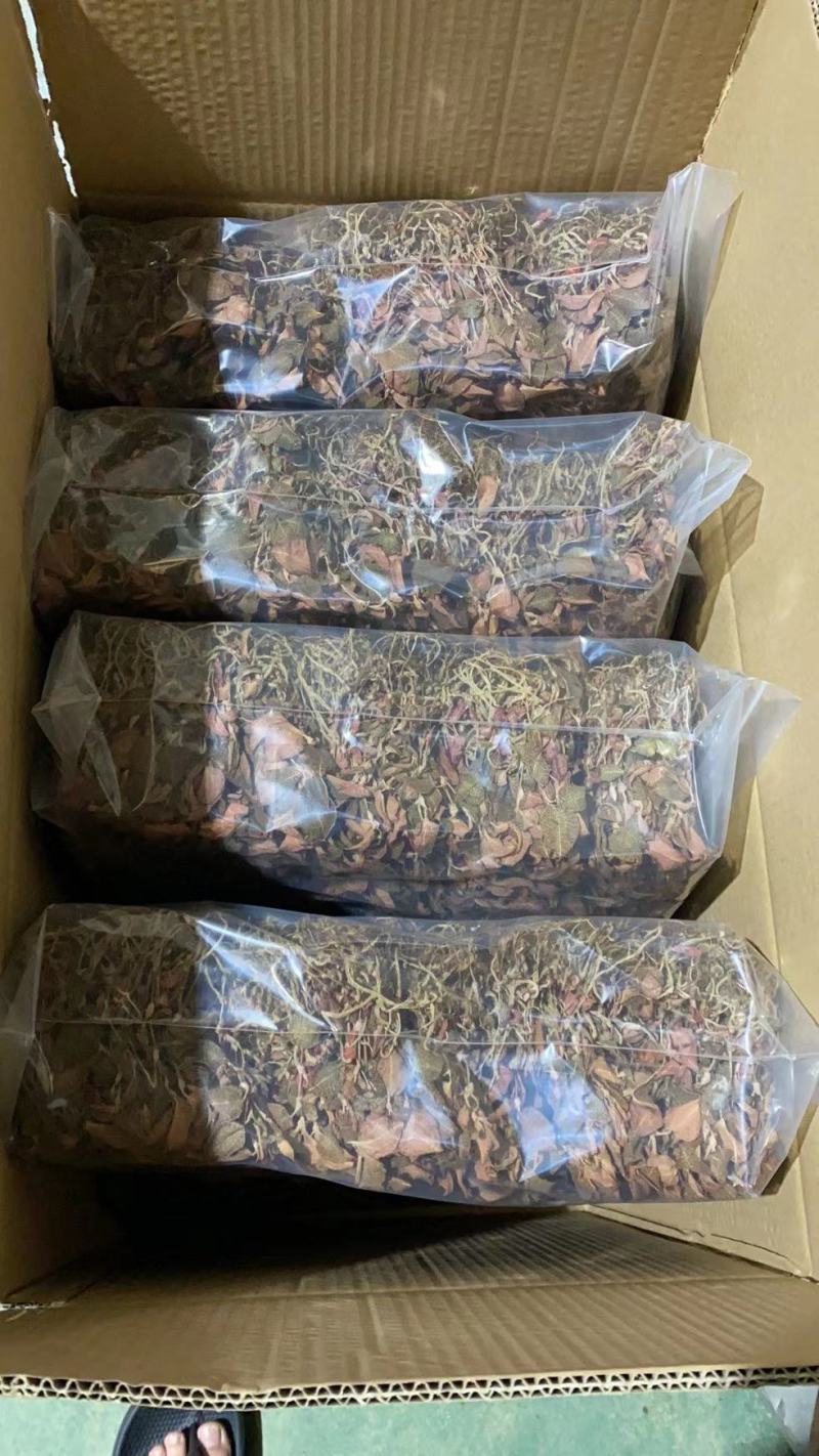 【100克起拍】1.5一克福建金线莲红霞干品包邮