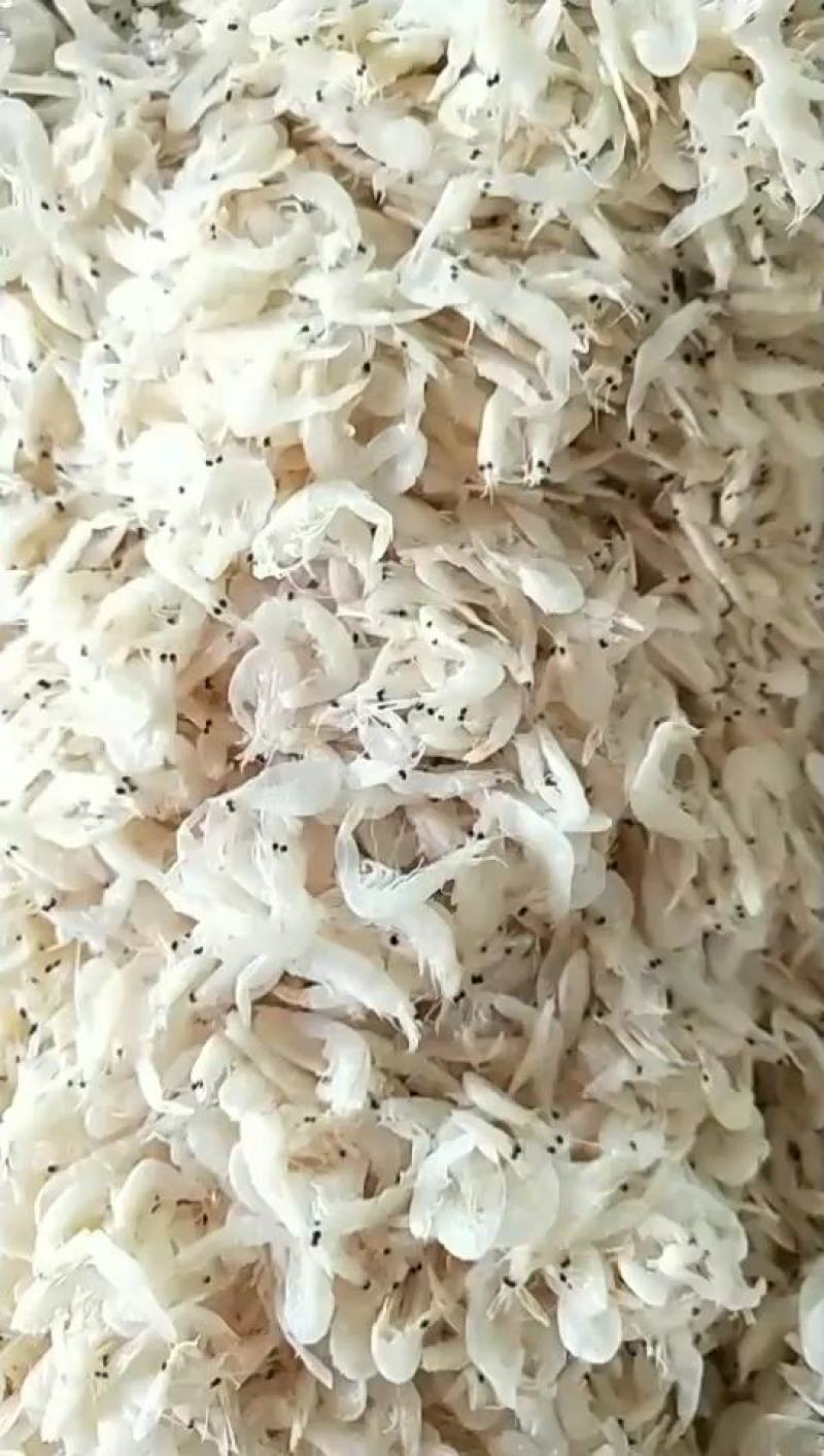 虾皮批发零售淡干虾皮特干虾皮湿虾皮