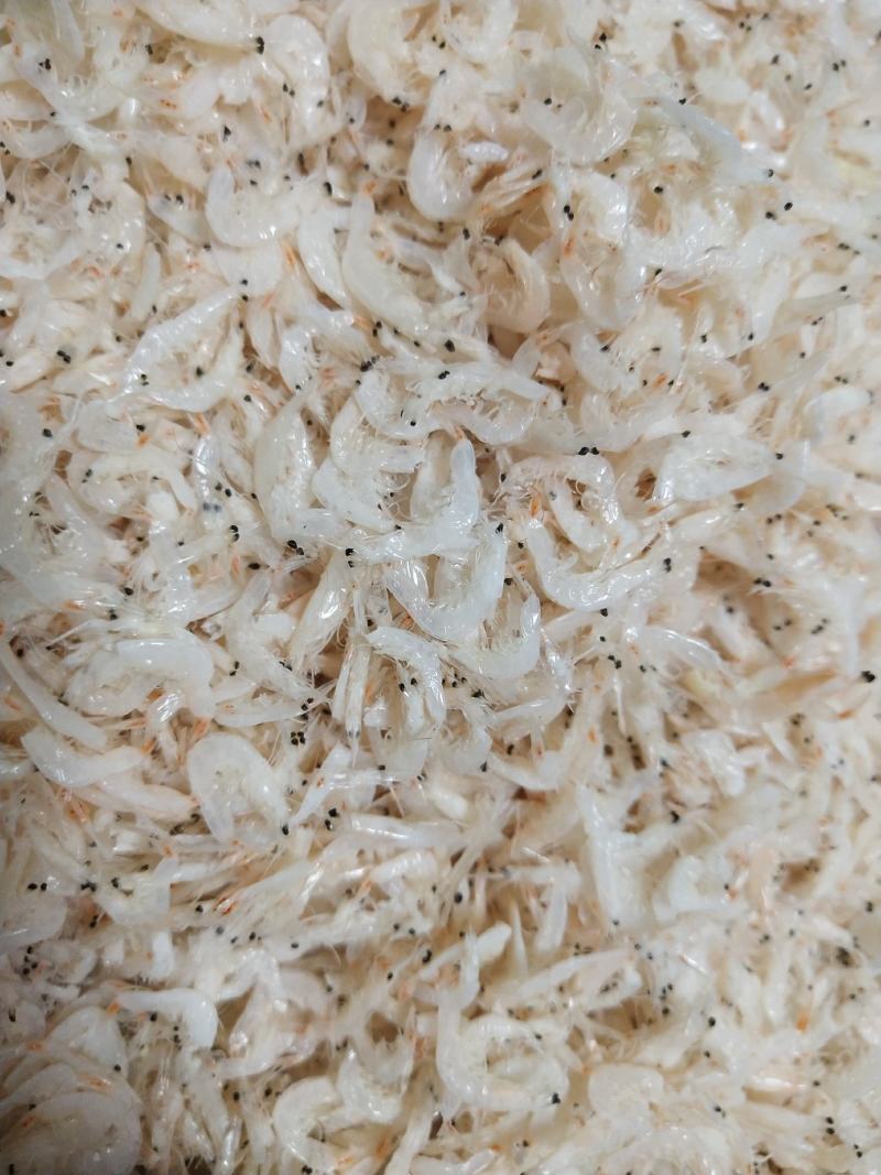 虾皮批发零售淡干虾皮特干虾皮湿虾皮