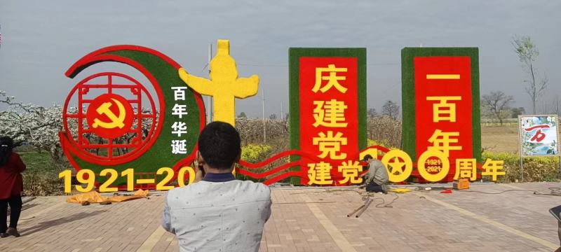 山东省青州市芝樱小苗芝樱花卉种苗山东丛生福禄考小苗