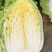 黄心白菜