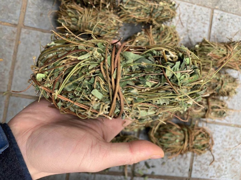 鸡骨草产地一手货源，新货足干够老水