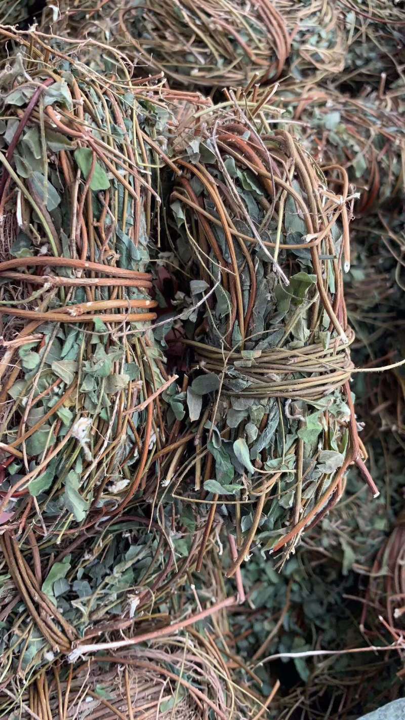鸡骨草产地一手货源，新货足干够老水