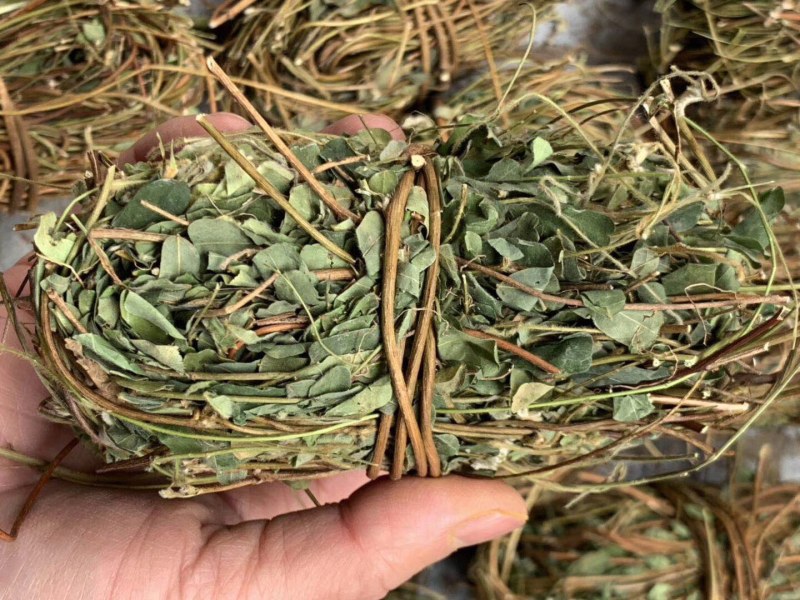 鸡骨草产地一手货源，新货足干够老水