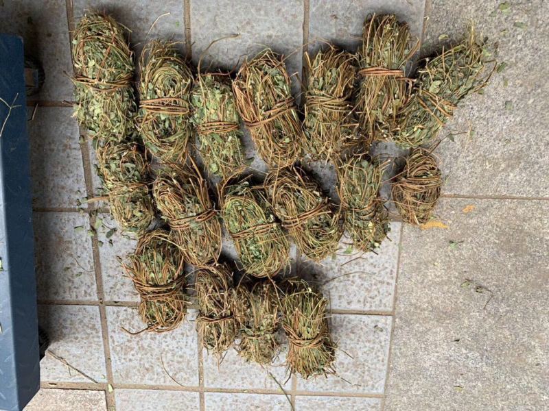 鸡骨草产地一手货源，新货足干够老水