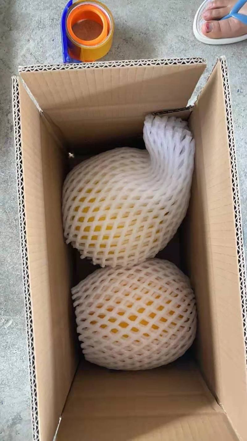 黄河密瓜，48小时内发货，产地直发，