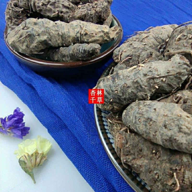 云南野生中药材草血竭草河车老腰弓拳参散装包邮