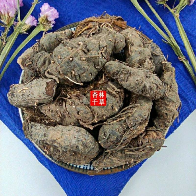 云南野生中药材草血竭草河车老腰弓拳参散装包邮