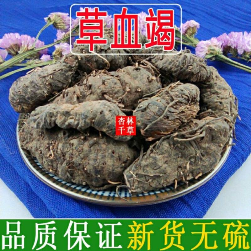 云南野生中药材草血竭草河车老腰弓拳参散装包邮