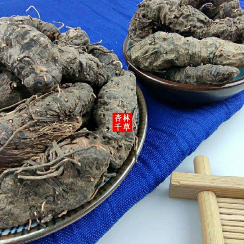 云南野生中药材草血竭草河车老腰弓拳参散装包邮