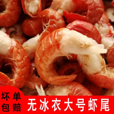 无冰衣虾尾，2021年新品虾尾，证件齐全，一件代发批发