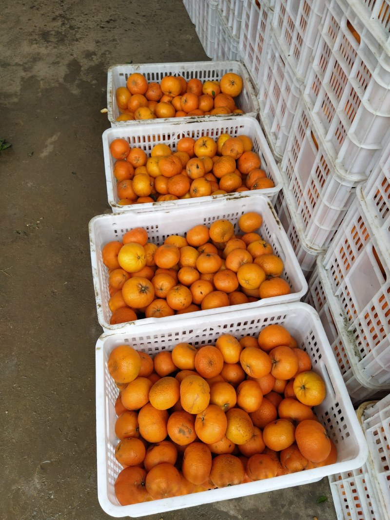 这些都是0.5～1.2元的货，买到就是赚到，60起不干水