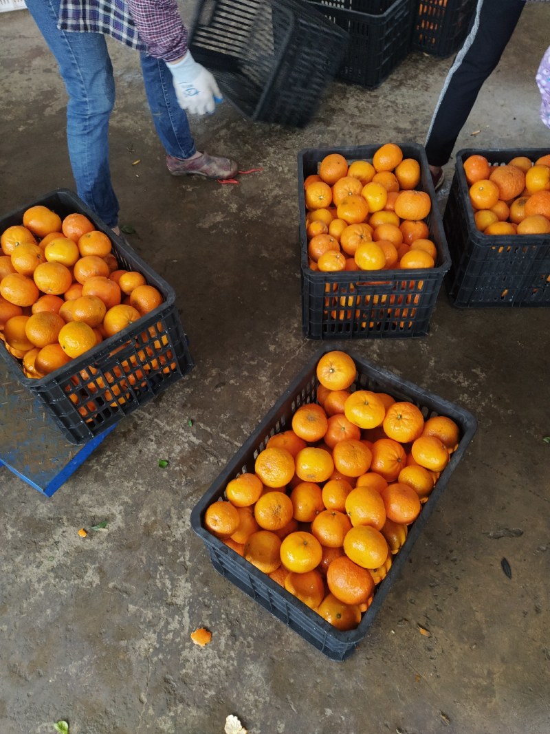 这些都是0.5～1.2元的货，买到就是赚到，60起不干水