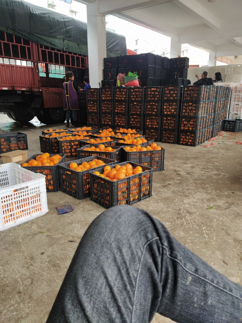 这些都是0.5～1.2元的货，买到就是赚到，60起不干水