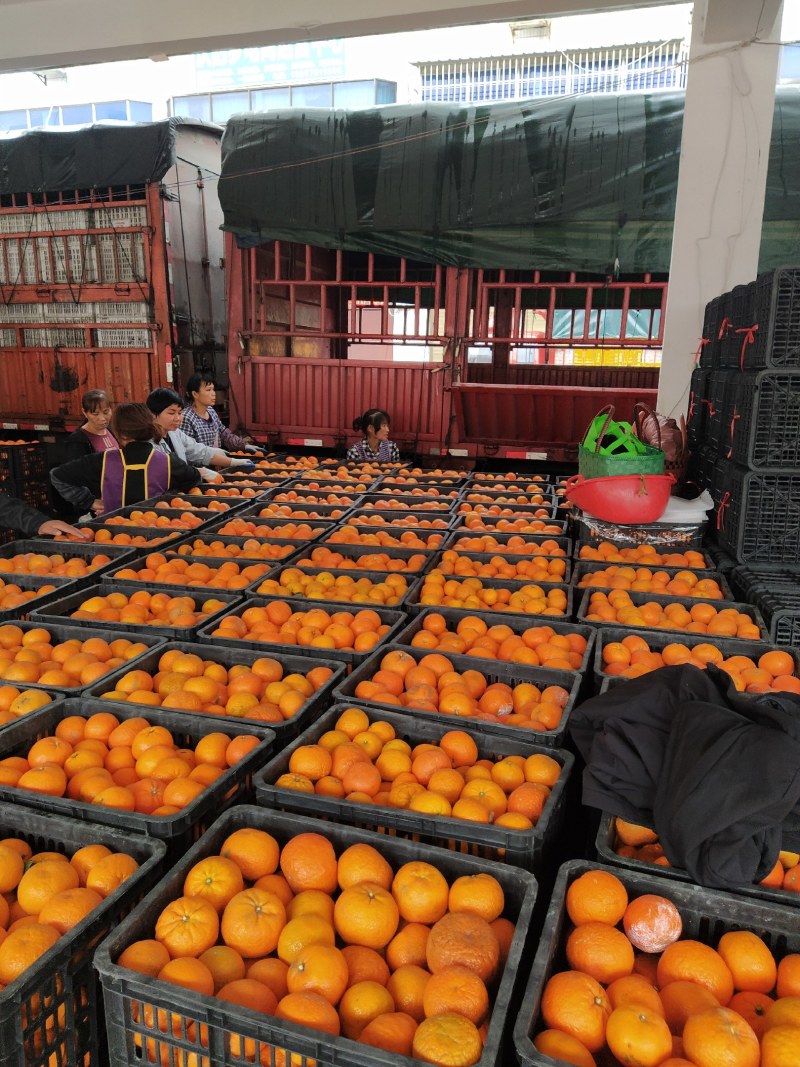 这些都是0.5～1.2元的货，买到就是赚到，60起不干水