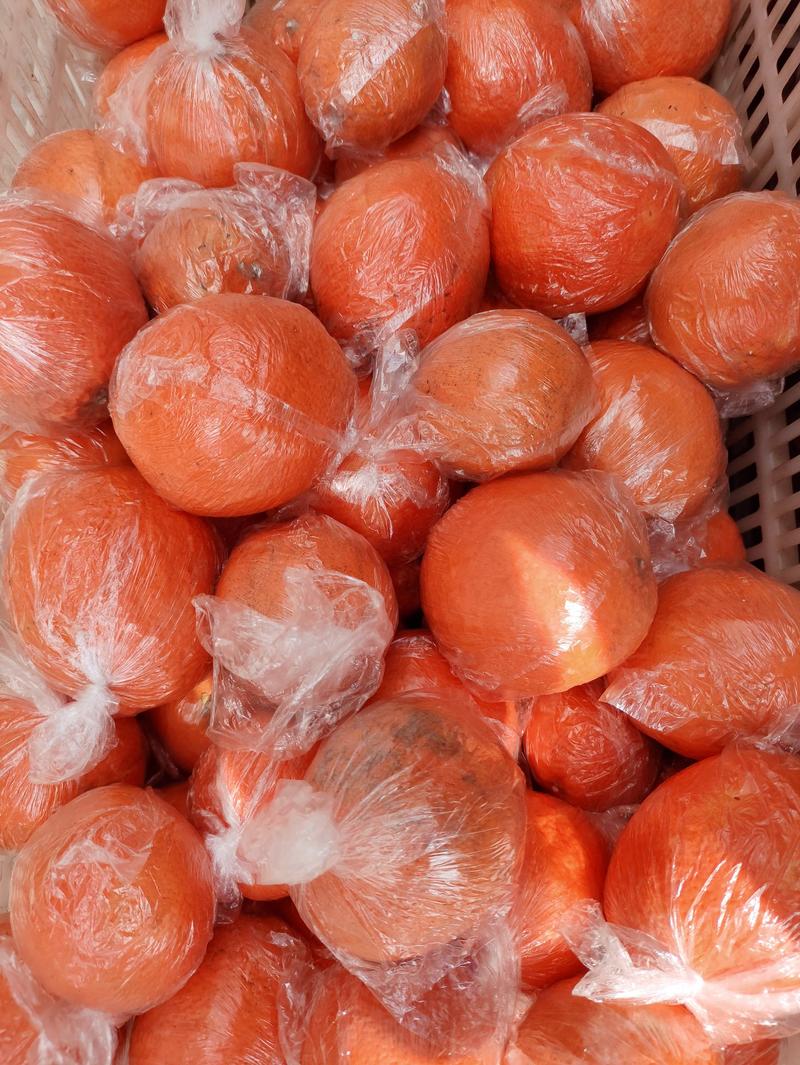 锦橙100号，储存果正在热卖中，果大皮薄，需要的联系我。