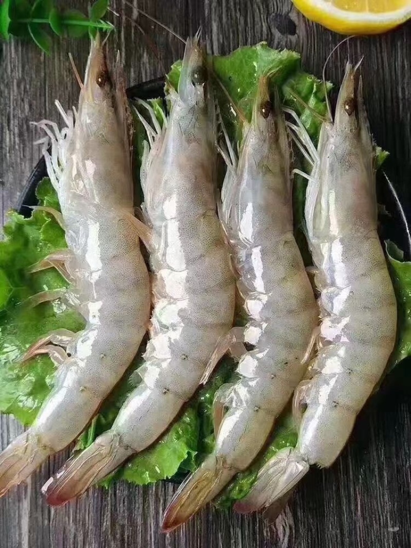 海捕大虾南美海虾活冻海洋虾对虾青虾基围虾海鲜