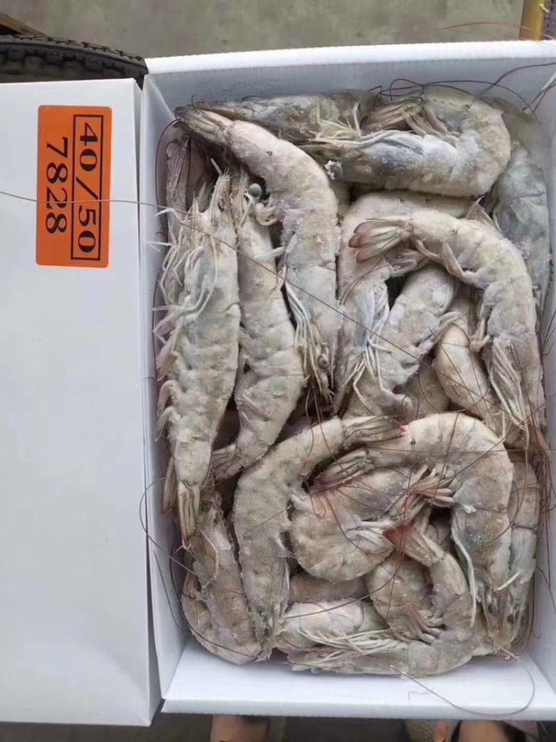 海捕大虾南美海虾活冻海洋虾对虾青虾基围虾海鲜