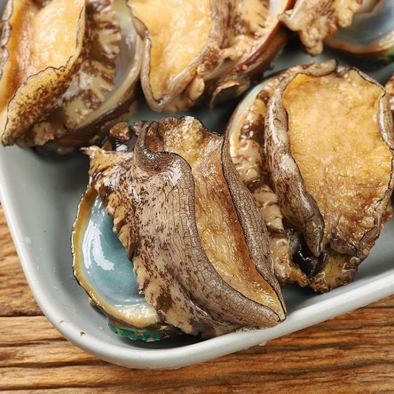 鲍鱼新鲜鲍鱼鲜活鲍鱼大鲍鱼新鲜海鲜鲜活活体水