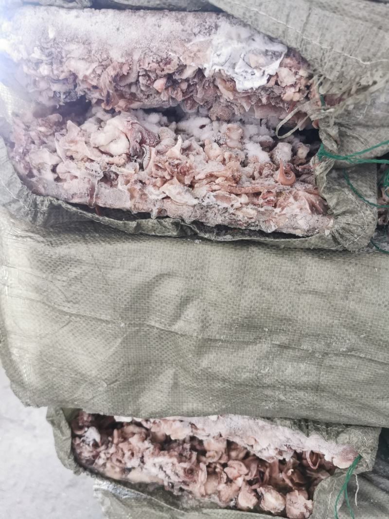 脆口须碎料漂烫鱿鱼须下来的碎料