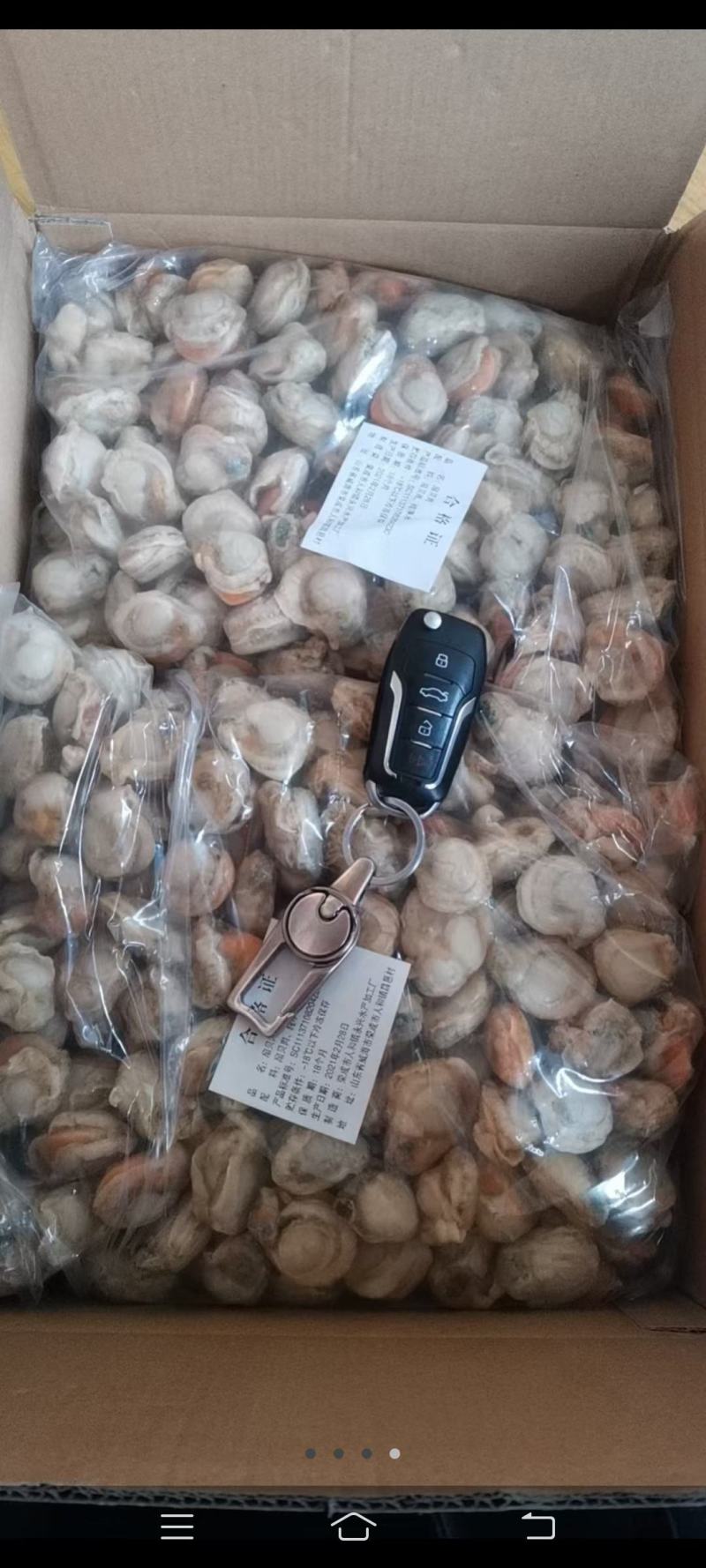 精品扇贝肉10斤装多种扇贝好吃不贵价格实惠，吃着放心，，