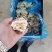 精品扇贝肉10斤装多种扇贝好吃不贵价格实惠，吃着放心，，