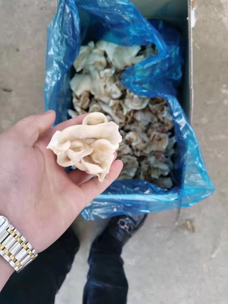精品扇贝肉10斤装多种扇贝好吃不贵价格实惠，吃着放心，，