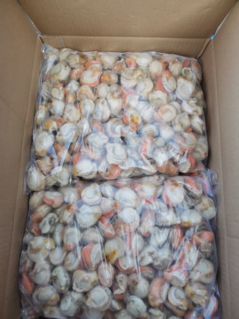 精品扇贝肉10斤装多种扇贝好吃不贵价格实惠，吃着放心，，