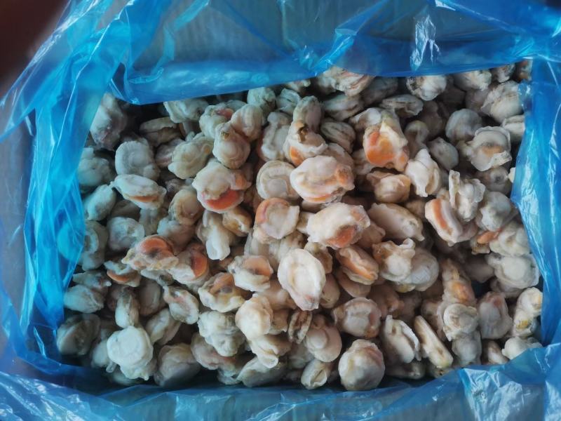 精品扇贝肉10斤装多种扇贝好吃不贵价格实惠，吃着放心，，