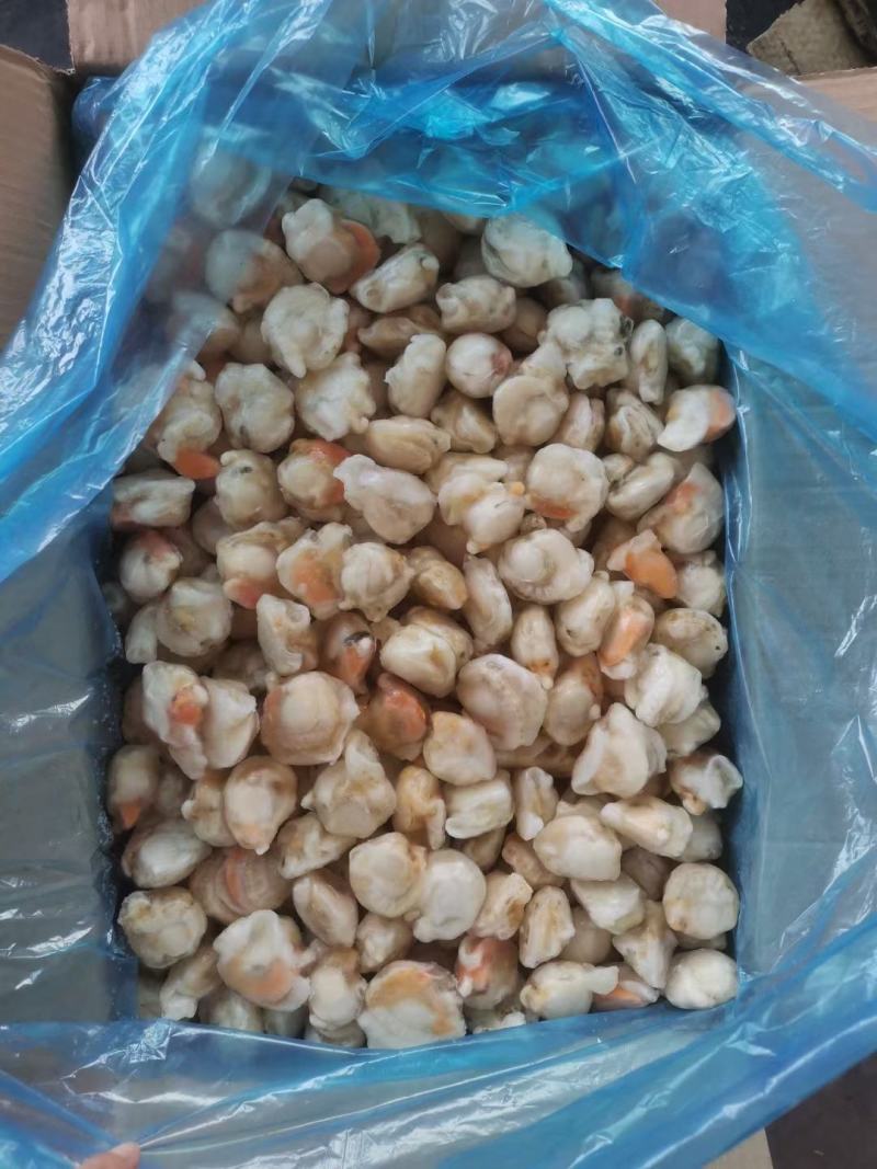 精品扇贝肉10斤装多种扇贝好吃不贵价格实惠，吃着放心，，