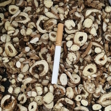 黄芪切片圆片斜片指甲片，无硫***鲜黄芪
