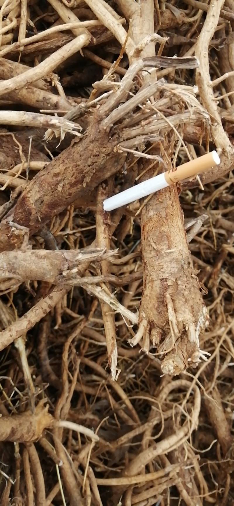 黄芪切片圆片斜片指甲片，无硫***鲜黄芪
