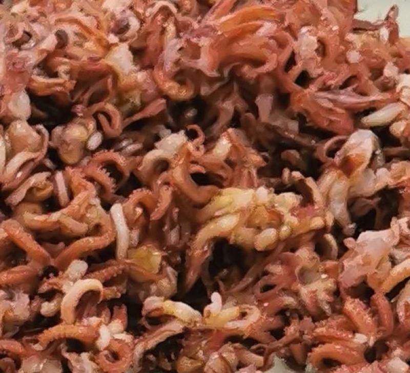 脆口须碎料漂烫鱿鱼须下来的碎料