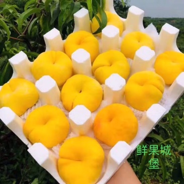 鲜果城堡精品蟠桃即将上市，支持一件代发。